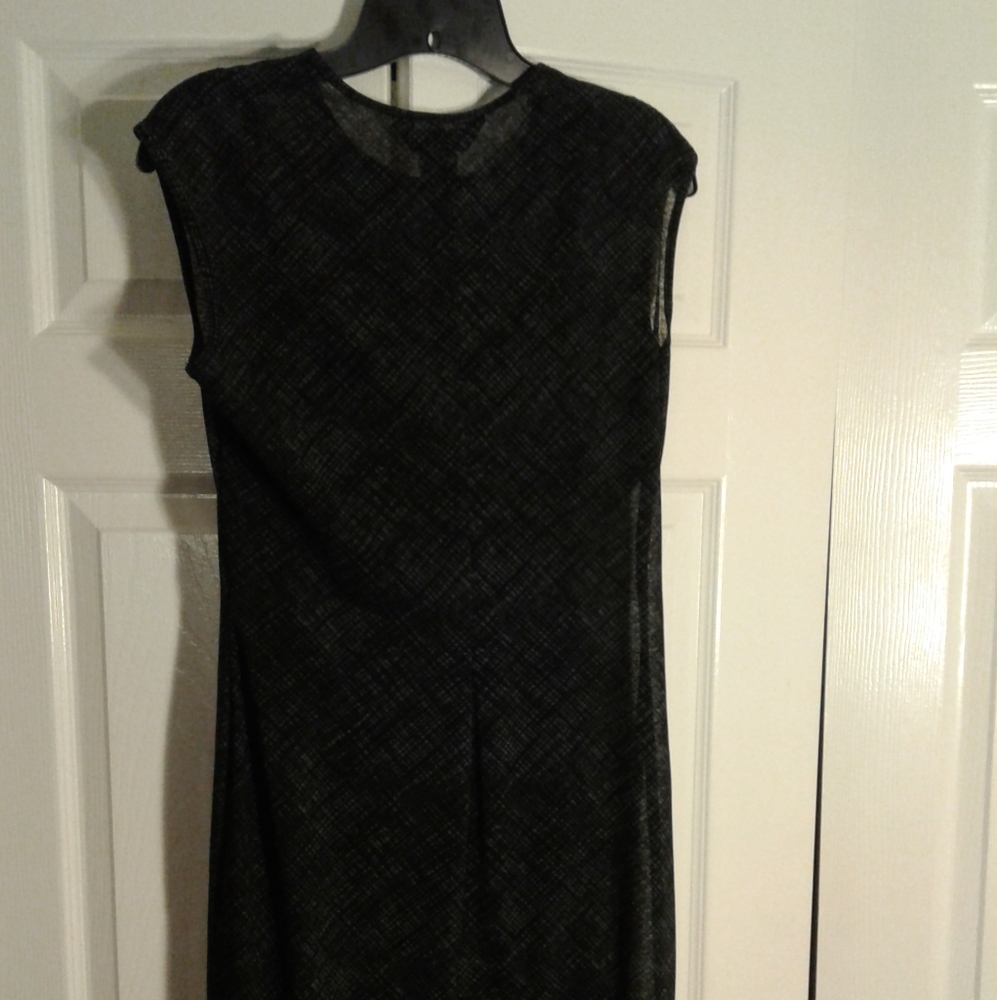 Express Sheer Overlay Dress